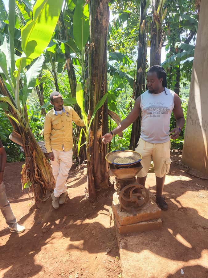 Arusha or Moshi : Hot Spring, Waterfall & Coffee Farm Tour - Should you book it?
