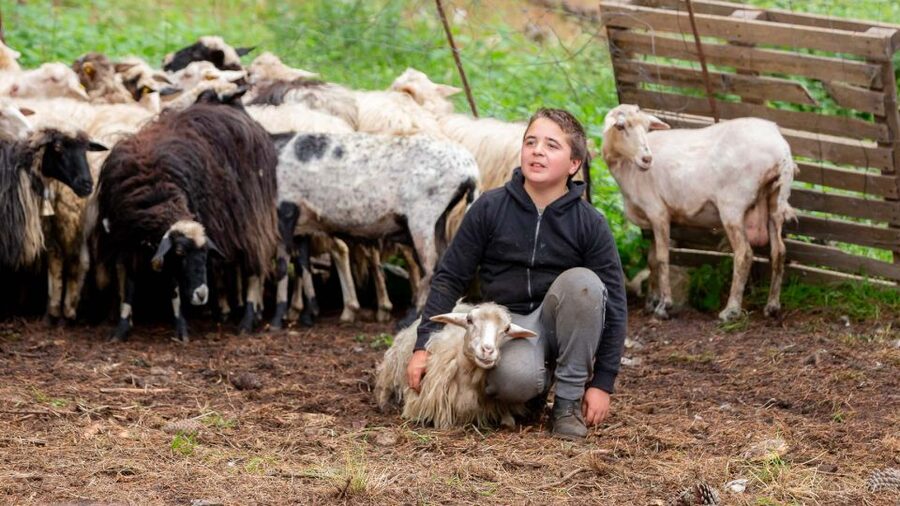 Arzana: Day with a shepherd w/ lunch in a farm - Key points to know before you go