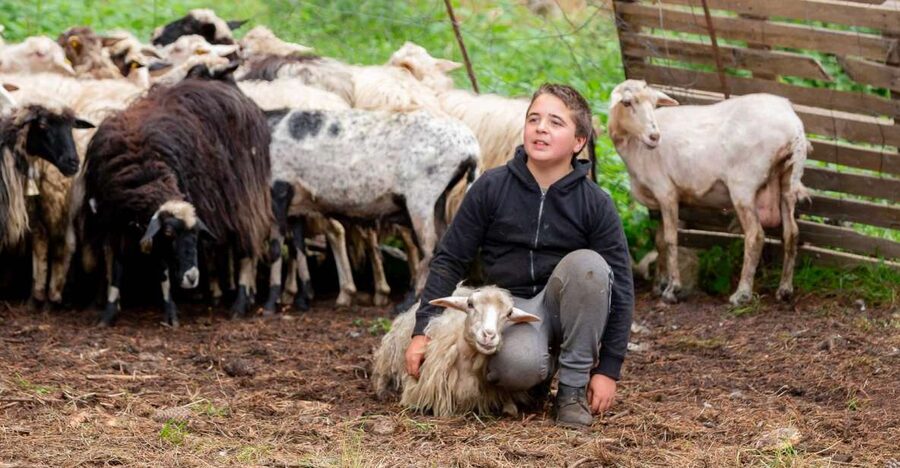 Arzana: Day with a shepherd w/ lunch in a farm - What the six-hour schedule feels like