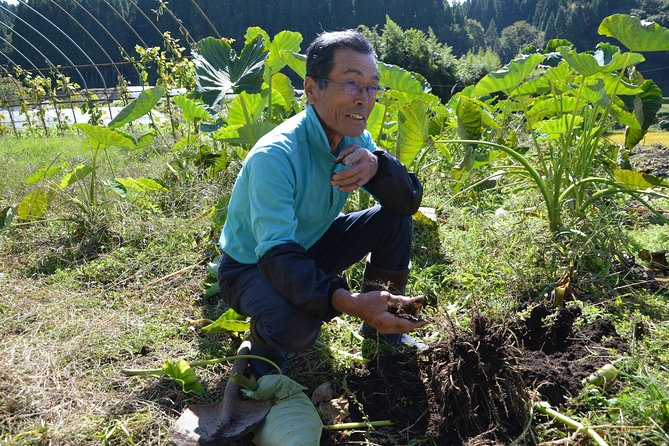 Aso Caldera and Farm Experience Tour - A private tour with useful flexibility