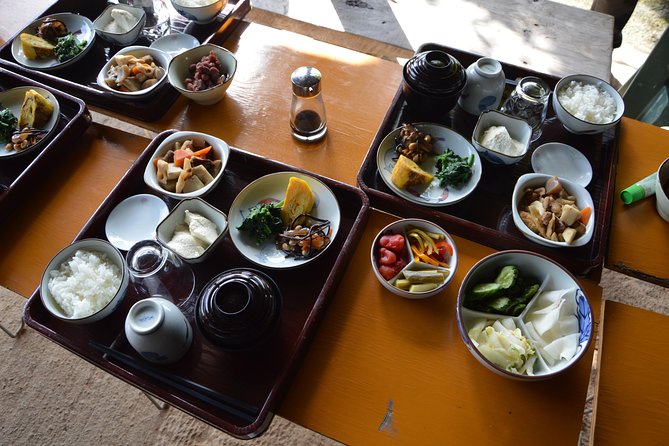 Aso Caldera and Farm Experience Tour - Price and what you receive for $156.09