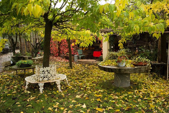 Assisi, Deruta & organic gourmet lunch at the olive oil farmhouse from SIENA - Deruta ceramics and Ubaldo Grazia