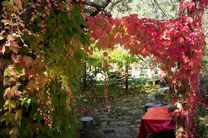Assisi, Deruta & organic gourmet lunch at the olive oil farmhouse from SIENA - A private car, a long day, and the value of the service