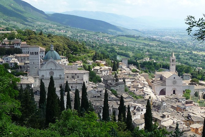 Assisi, Deruta & organic gourmet lunch at the olive oil farmhouse from SIENA - What the $671.41 price really buys