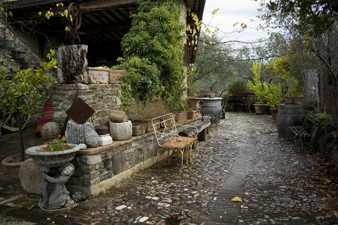 Assisi, Deruta & organic gourmet lunch at the olive oil farmhouse from SIENA - Who should book this experience