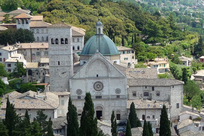Assisi, Deruta & organic gourmet lunch at the olive oil farmhouse from SIENA - Assisi and the Basilica of Saint Francis