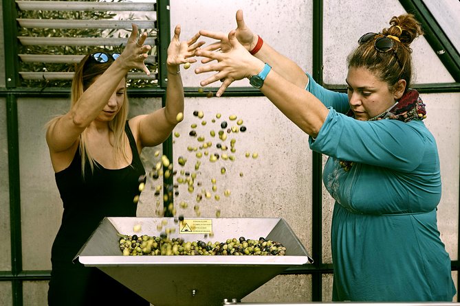 ATHENS OLIVE ESTATE - Olive Oil Workshop with Farm-to-Fork Lunch - Optional Lake Vouliagmeni stop
