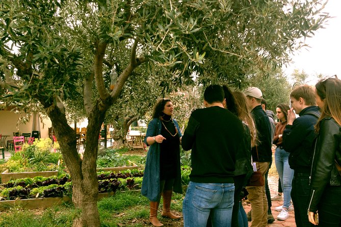 ATHENS OLIVE ESTATE - Olive Oil Workshop with Farm-to-Fork Lunch - Optional Thorikos Theater stop