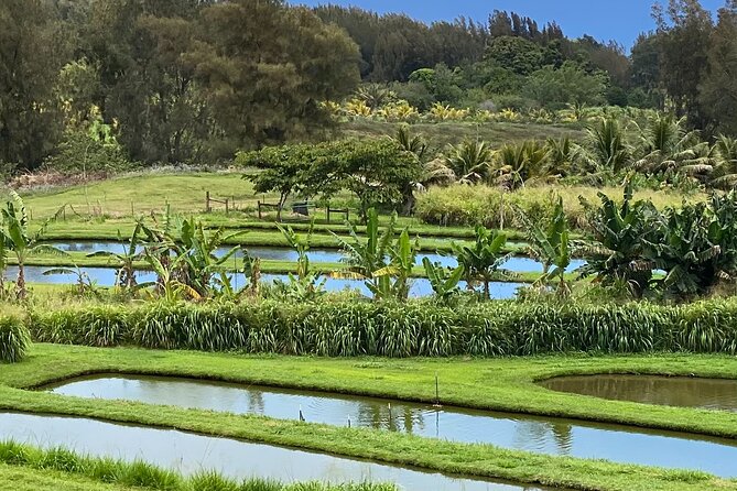 ATV Ranch ride Big Island Hawaii - The coast stop and the best photo views