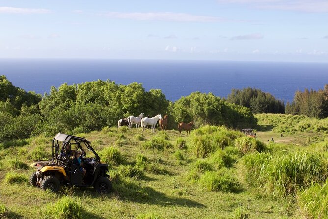 ATV Ranch ride Big Island Hawaii - The price and what you receive