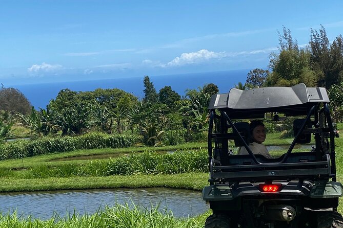 ATV Ranch ride Big Island Hawaii - Starting near Honokaa at Waipio Road