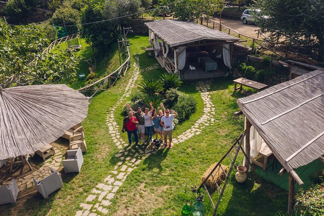 Authentic Farm Tour with Pizza, Cheese, Wine & Limoncello Tasting - Starting among the animals and seasonal crops