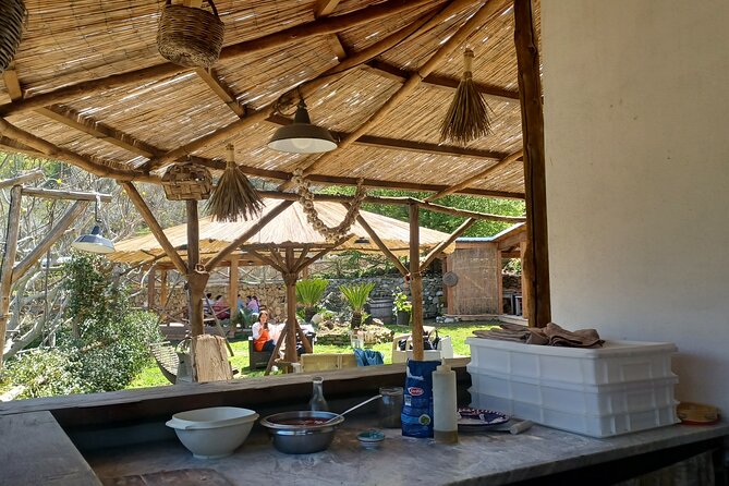 Authentic Farm Tour with Pizza, Cheese, Wine & Limoncello Tasting - The mozzarella demonstration, done by hand
