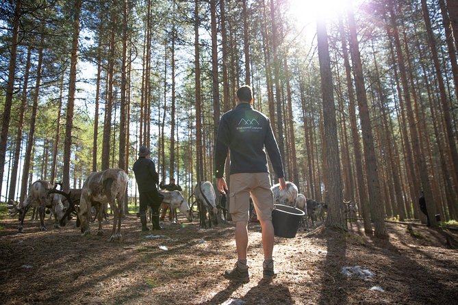 Authentic Reindeer Farm and Canoe Experience from Rovaniemi - Is $155.18 a fair price?