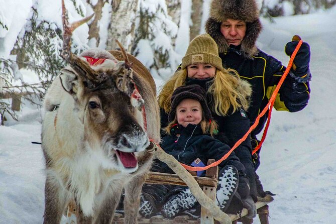 Authentic Reindeer Farm Experience in Rovaniemi - Tea, biscuits, and a traditional hut