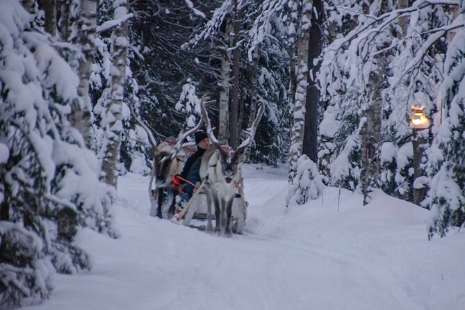 Authentic Reindeer Farm Experience in Rovaniemi - Who will enjoy this farm visit?