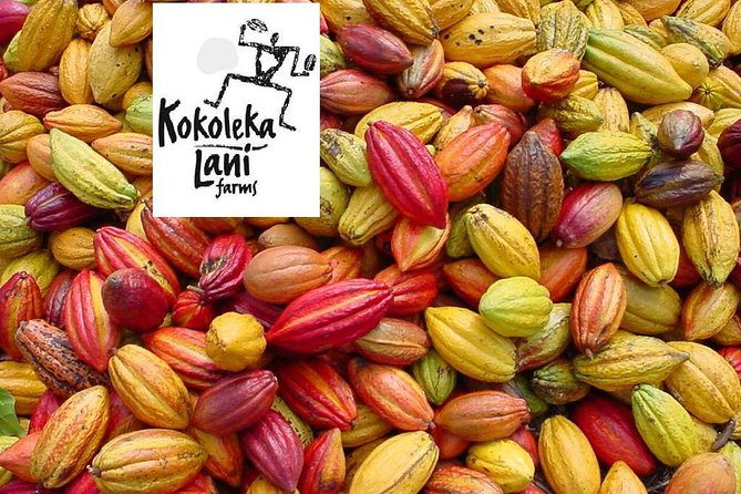 Award Winning Farm Tour: Coffee, Chocolate and Unique Gifts - Tastings that make the lesson stick