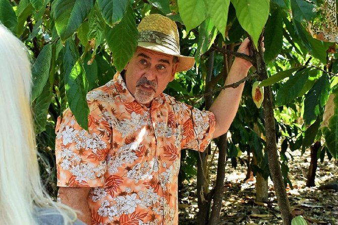 Award Winning Farm Tour: Coffee, Chocolate and Unique Gifts - What the farm walk reveals