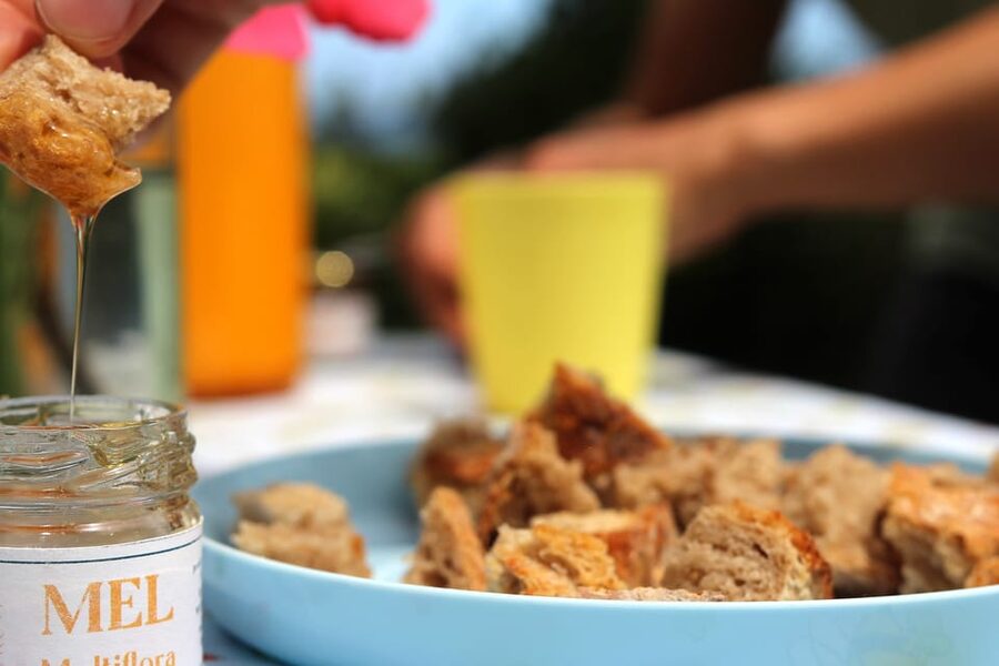 Azores Beekeeping Experience and Honey Tasting - Meeting the Bees Near Lagoa