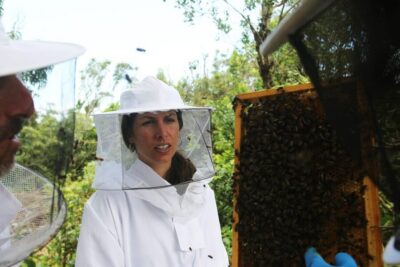 Azores Beekeeping Experience and Honey Tasting