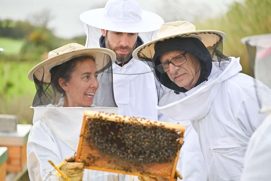 Azores Beekeeping Experience and Honey Tasting - Should You Book the Apiário Margaridas Visit?