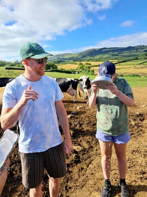 Azores: Dairy Farm Tour - Meeting the cows and learning their routine