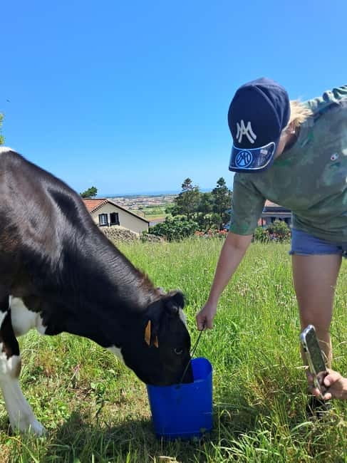 Azores: Dairy Farm Tour - Rural viewpoints and a traditional village