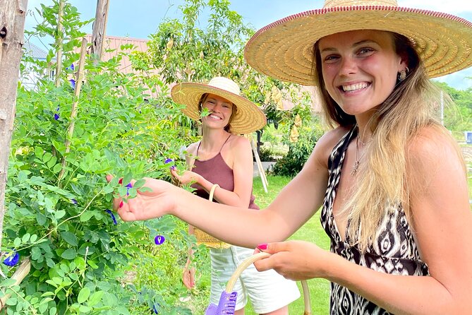 Baan Farm Thai Cooking School Chiangmai - Choosing five dishes instead of following one fixed menu