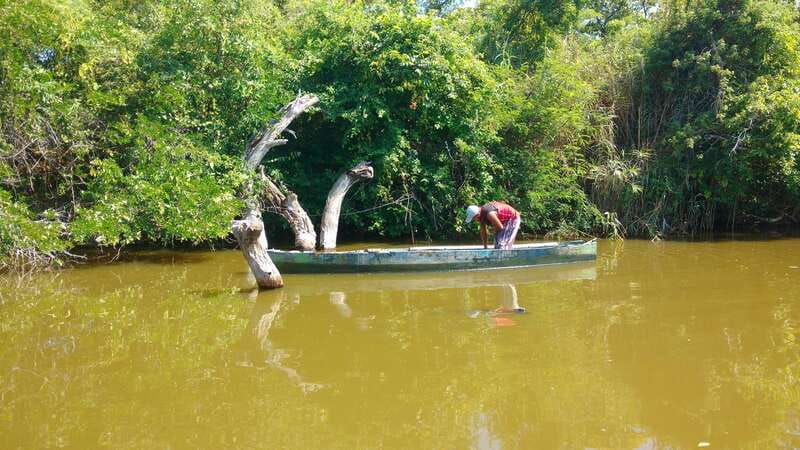 .Baby Turtle Release, Lagoon Boat Ride, and Crocodile Farm - Key Points