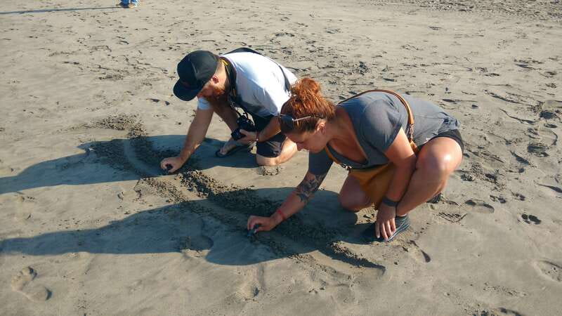 .Baby Turtle Release, Lagoon Boat Ride, and Crocodile Farm - Booking Details and Practical Notes