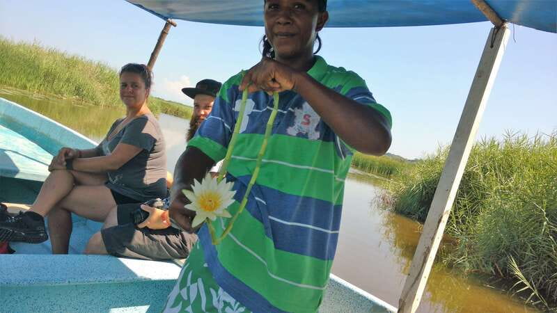 .Baby Turtle Release, Lagoon Boat Ride, and Crocodile Farm - On the Lagoon With Herons and Mangrove Tunnels