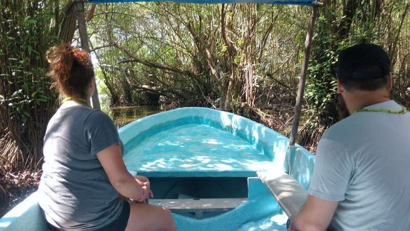 .Baby Turtle Release, Lagoon Boat Ride, and Crocodile Farm - The 45-Minute Ride to the Turtle Camp