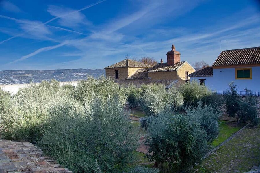 Baeza: Oil Tourism at Hacienda La Laguna - The Cathedral of Olive Oil