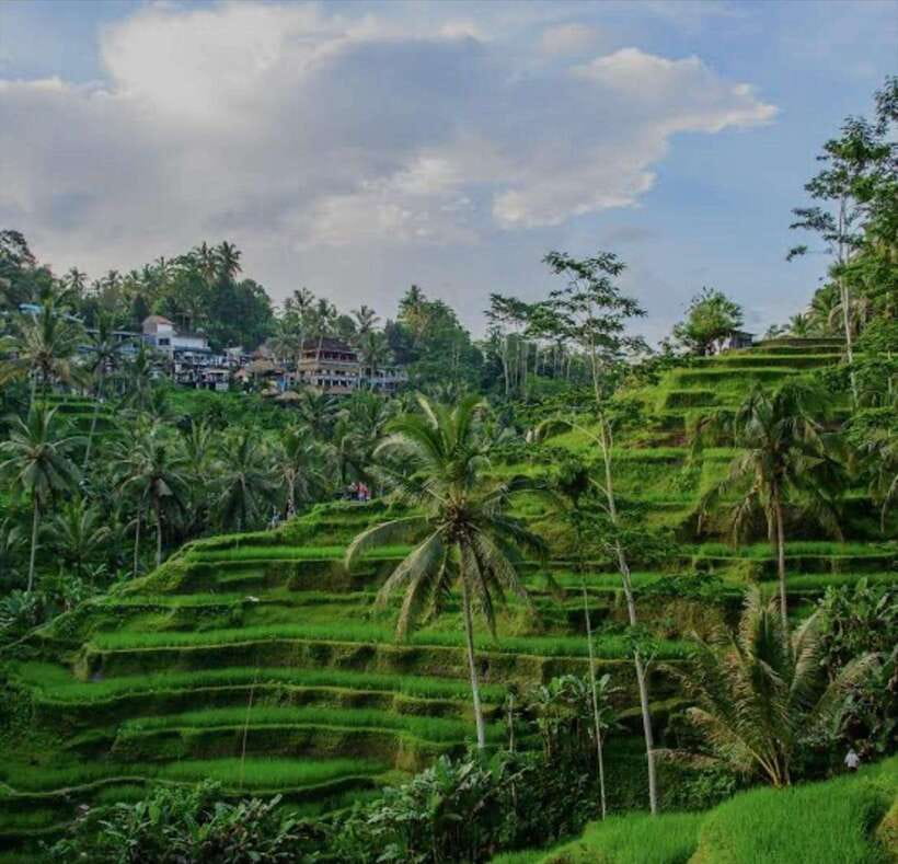 Bali: 3 best waterfall and tegalalang rice terrace - Tegalalang closes the day with broad views