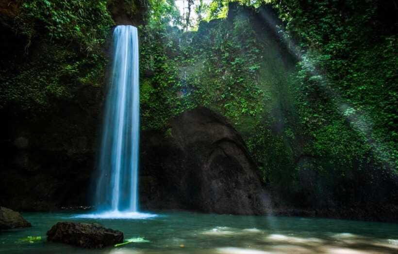 Bali: 3 best waterfall and tegalalang rice terrace - What the day feels like from pickup to return