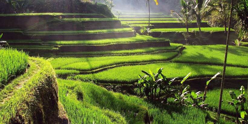 Bali: 3 Waterfalls and Tegalalang Rice Terrace Private Tour - Kanto Lampo Waterfall and its shallow rock pools
