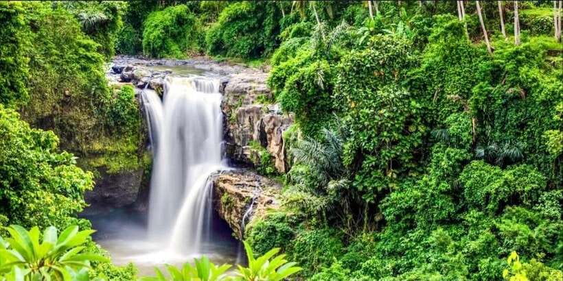 Bali: Bali Swing, Monkey Forest, Rice Terrace, Waterfall - What $29 includes, and what it does not