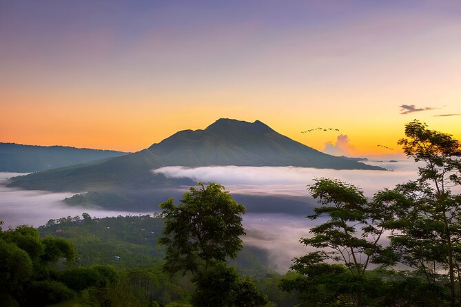 Bali: Barong Dance, Rice Terrace, Volcano, Temple, Waterfall Tour - Tegalalang Rice Terrace and the price of a famous view