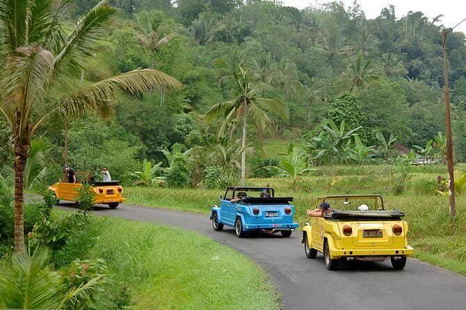 Bali: Bedugul Temple, Banyumala Waterfall, UNESCO Rice Terrace - The long day in practical terms