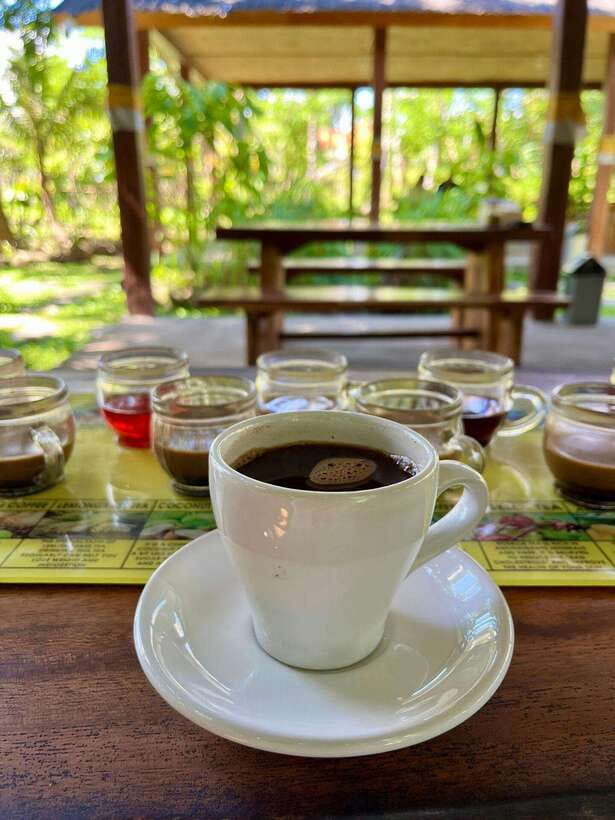 Bali: Blue Lagoon Snorkeling, Waterfall, and Plantation - What the $16 price really gives you