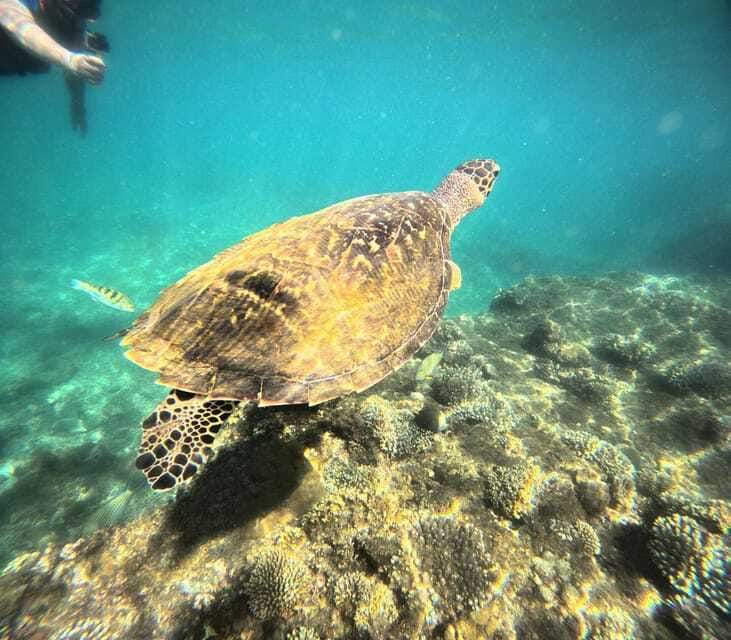 Bali: Blue Lagoon Snorkeling, Waterfall, and Plantation - Blue Lagoon and the problem of busy water