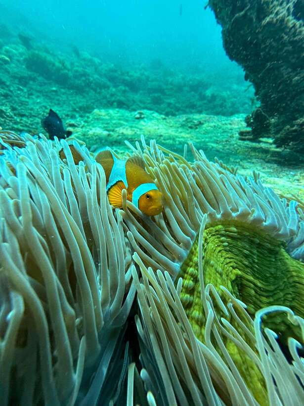 Bali: Blue Lagoon Snorkeling, Waterfall, and Plantation - Who should book this experience