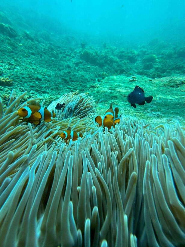 Bali: Blue Lagoon Snorkeling, Waterfall, and Plantation - The early road to Padang Bai