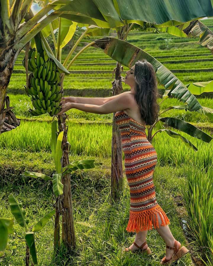 Bali: Cliff Jumping Gitgit Waterfalls & Rice Terrace Tour - The private car is a major part of the value