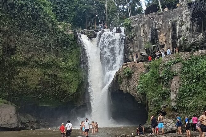 Bali Culture And Spring Temple Private Guided Tour - Tampaksiring adds a quiet tea break