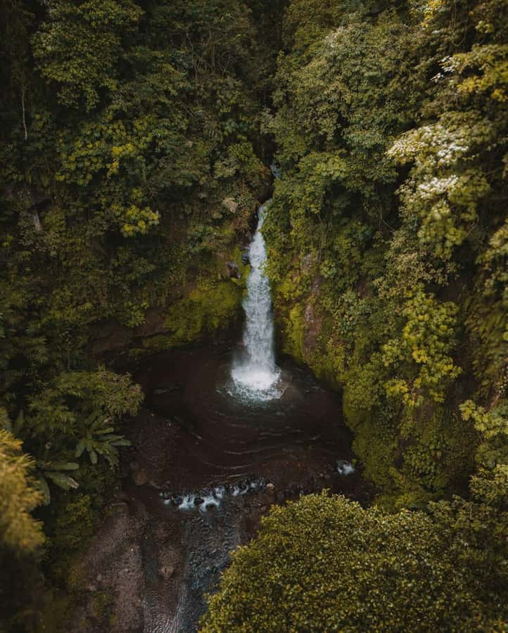 Bali: Discover Jungle Waterfalls and Rice Terraces - Why this Bali day works
