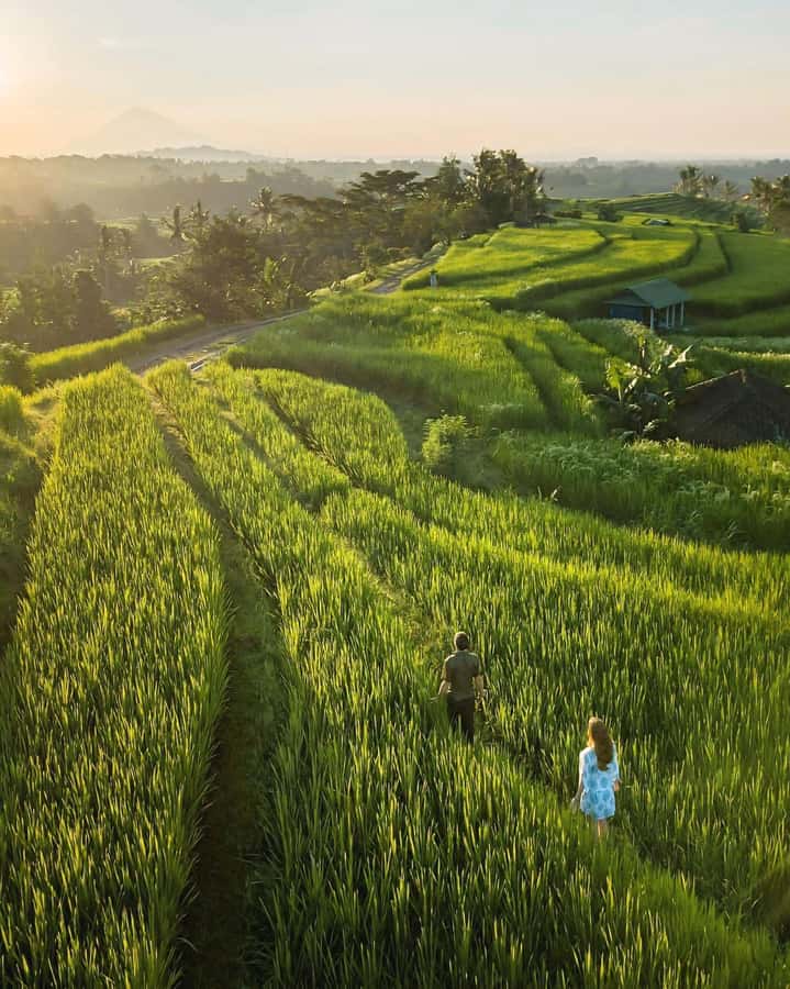 Bali: Discover Jungle Waterfalls and Rice Terraces - Goa Gong: a quiet waterfall inside a cave-like setting