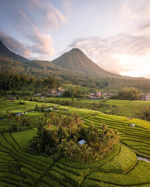 Bali: Discover Jungle Waterfalls and Rice Terraces - Jatiluwih rice terraces: the day’s wide-open finish