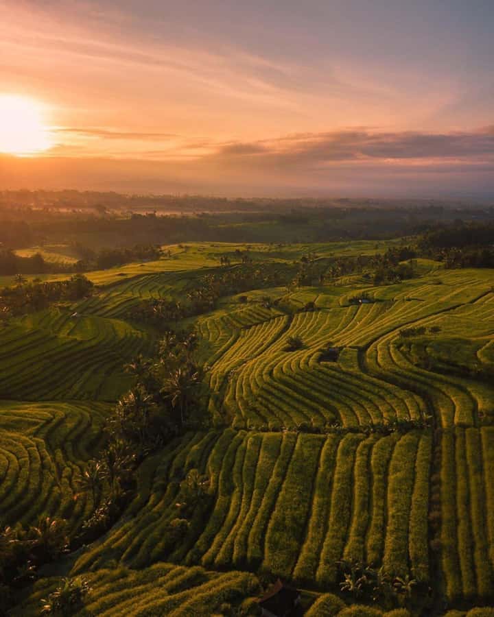 Bali: Discover Jungle Waterfalls and Rice Terraces - Transport, timing, and what the $35 covers
