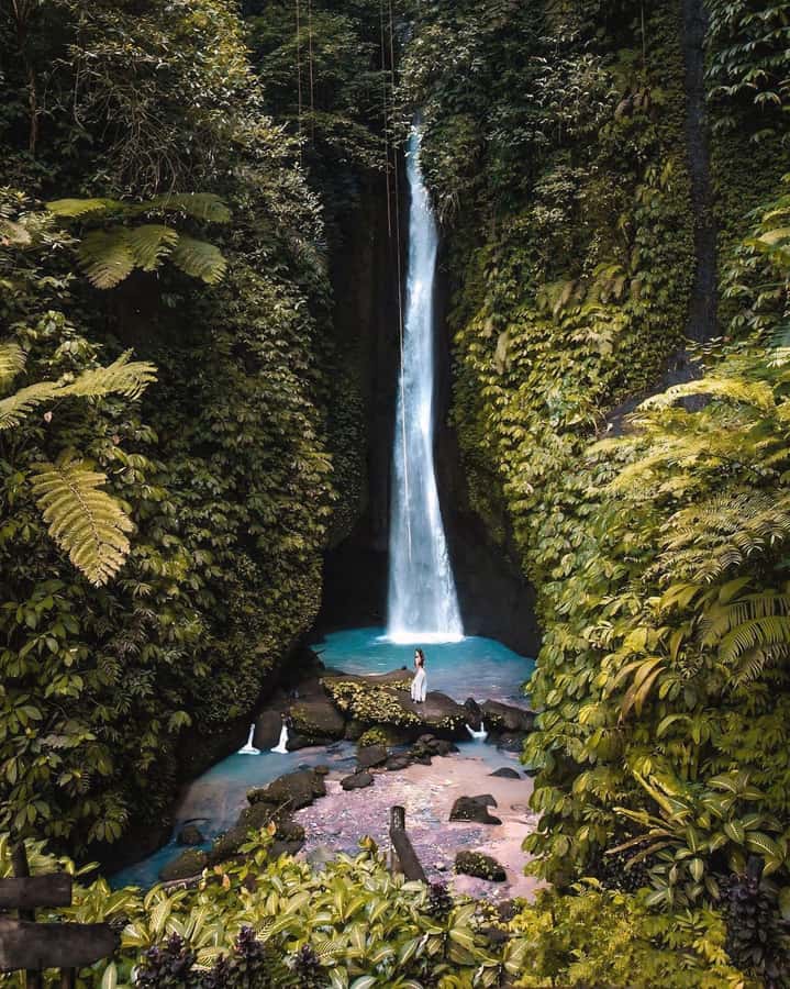 Bali: Discover Jungle Waterfalls and Rice Terraces - Nungnung Waterfall: the loud and powerful first stop